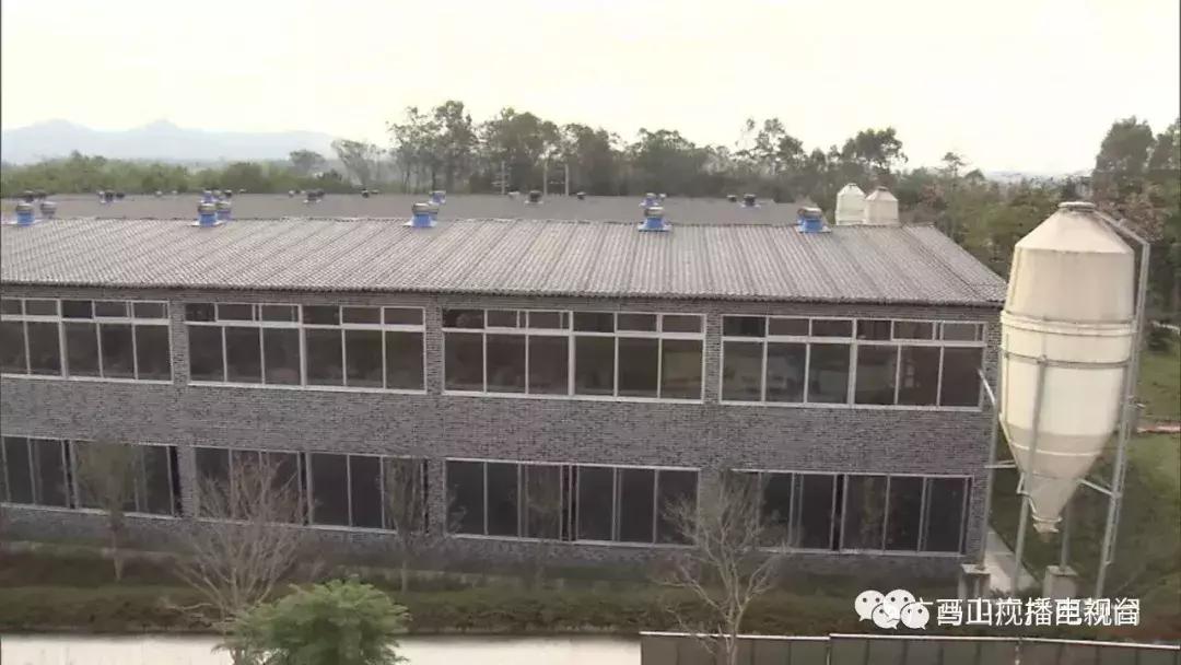 广西生态：“金字招牌”越擦越亮绿水青山变成“金饭碗”