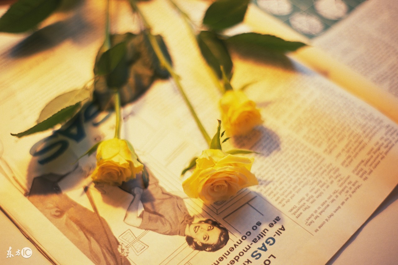 哲理文字图唯美图片,人生哲理的图片大全唯美