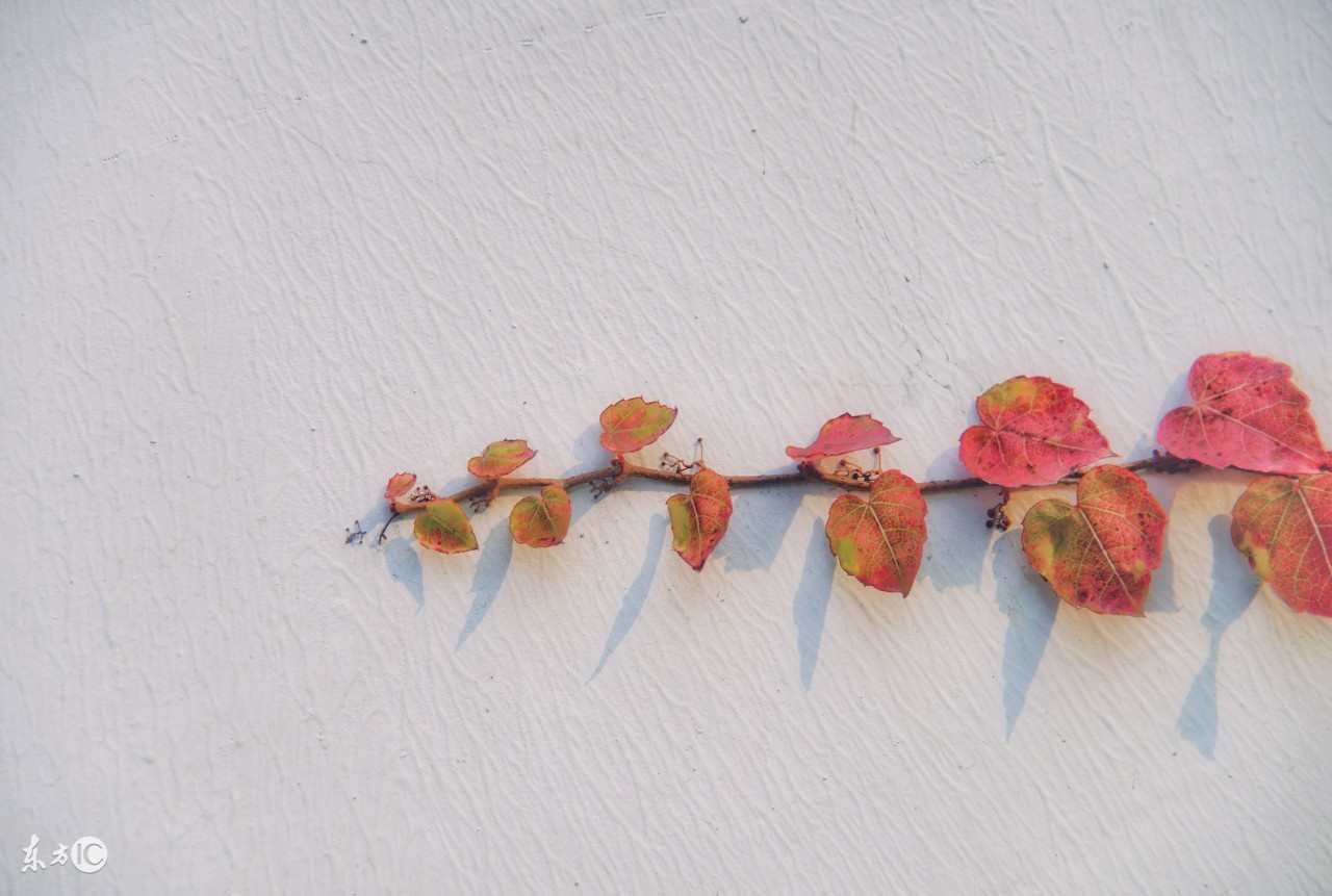 初级心理咨询师培训,怎样选择心理咨询