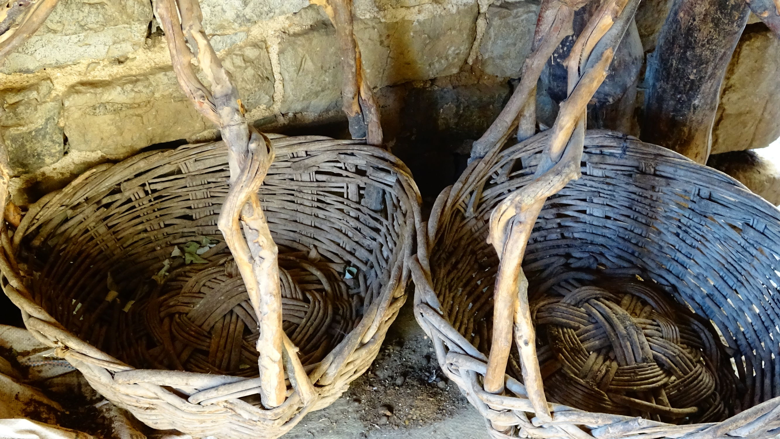 我的家在桃花峪:遇见青州窦家崖村的王老伯