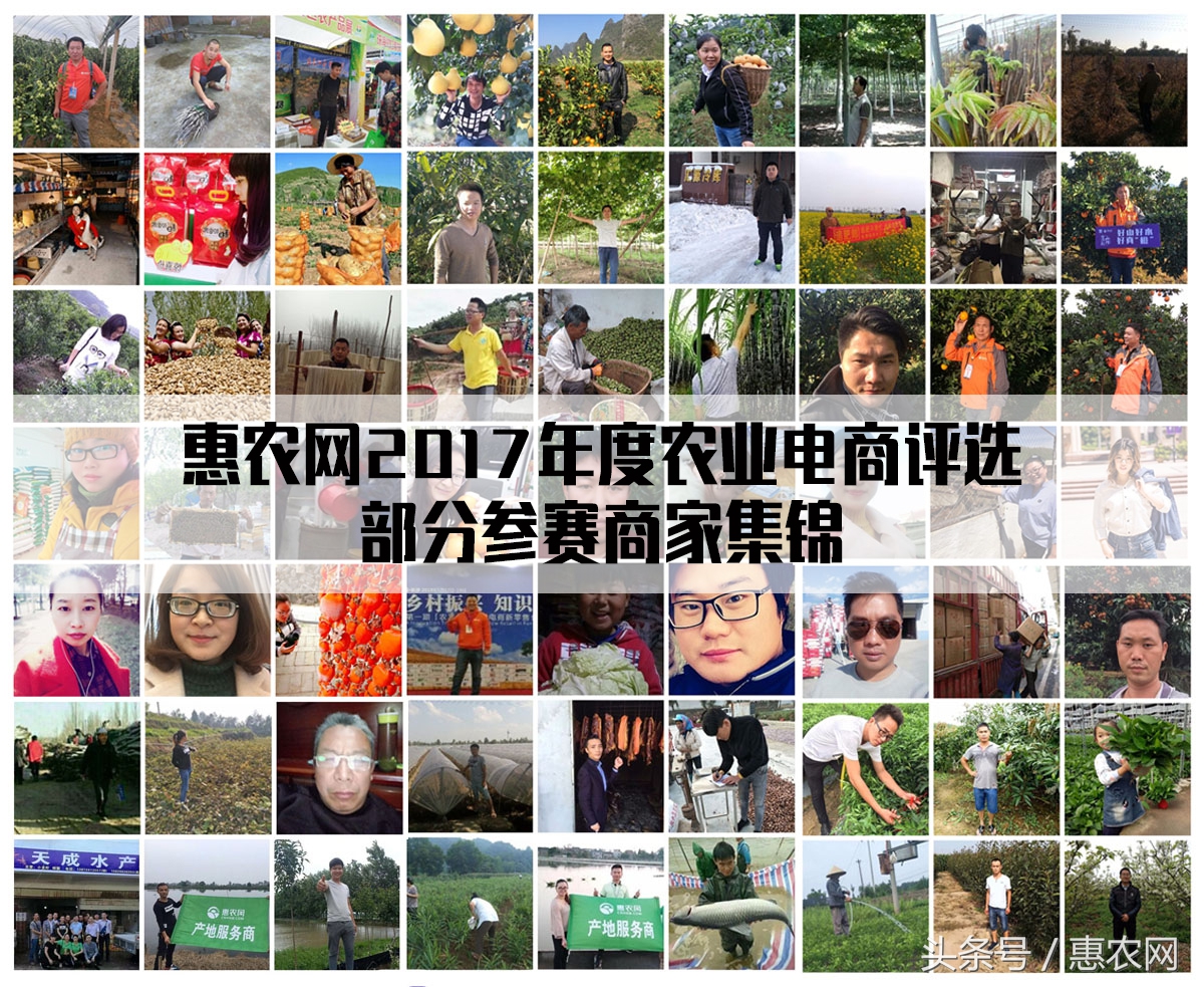 后电商时代价值新思维,惠农网农产品电商运作模式