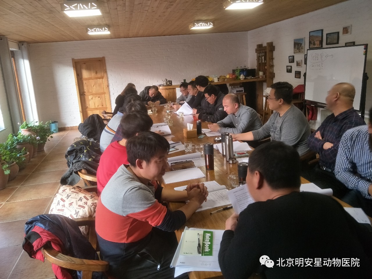 北京明安星动物医院,北京明安星宠物医院优惠团购