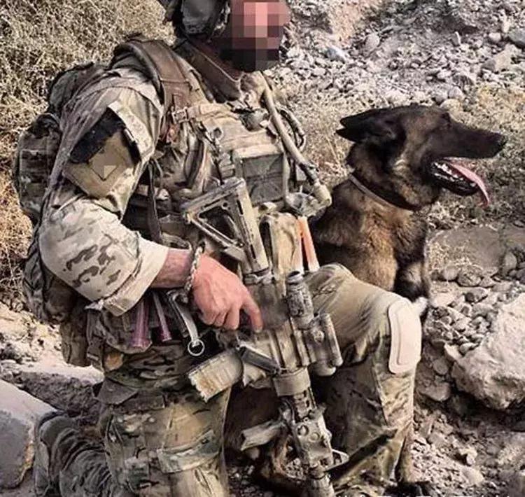 红点和全息的原理区别,红点全息的区别与选择