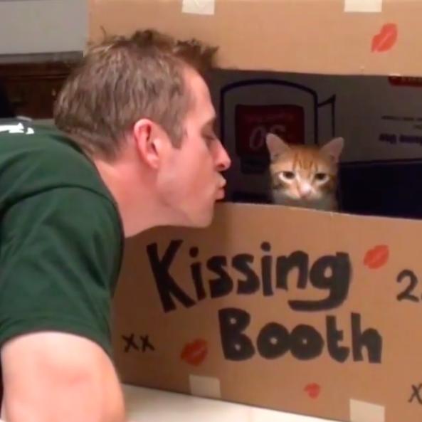 萌橘猫,萌橘猫老板