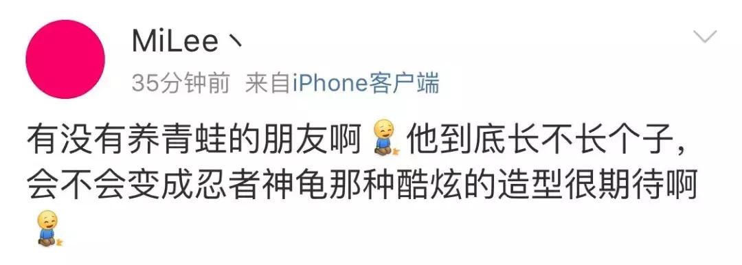 旅行青蛙不同人的养蛙方式,旅行青蛙养蛙指南