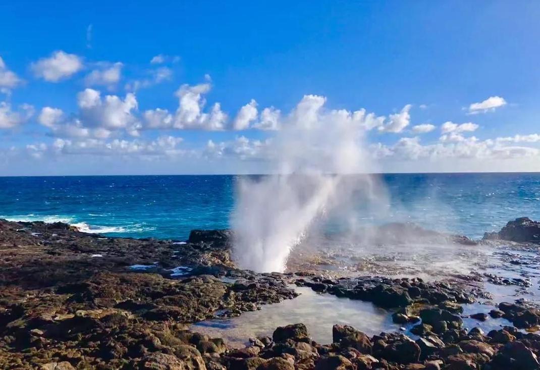 侏罗纪世界公园取景地,侏罗纪公园拍摄地点在哪里