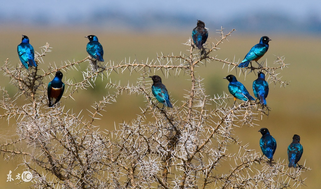 看图旅游,看图旅行