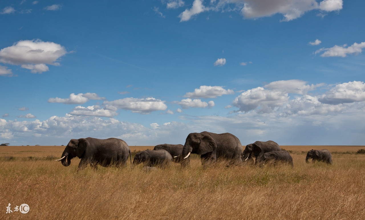 看图旅游,看图旅行