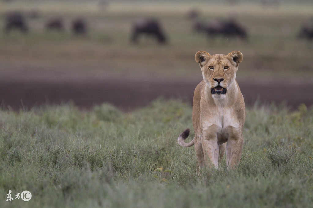 看图旅游,看图旅行