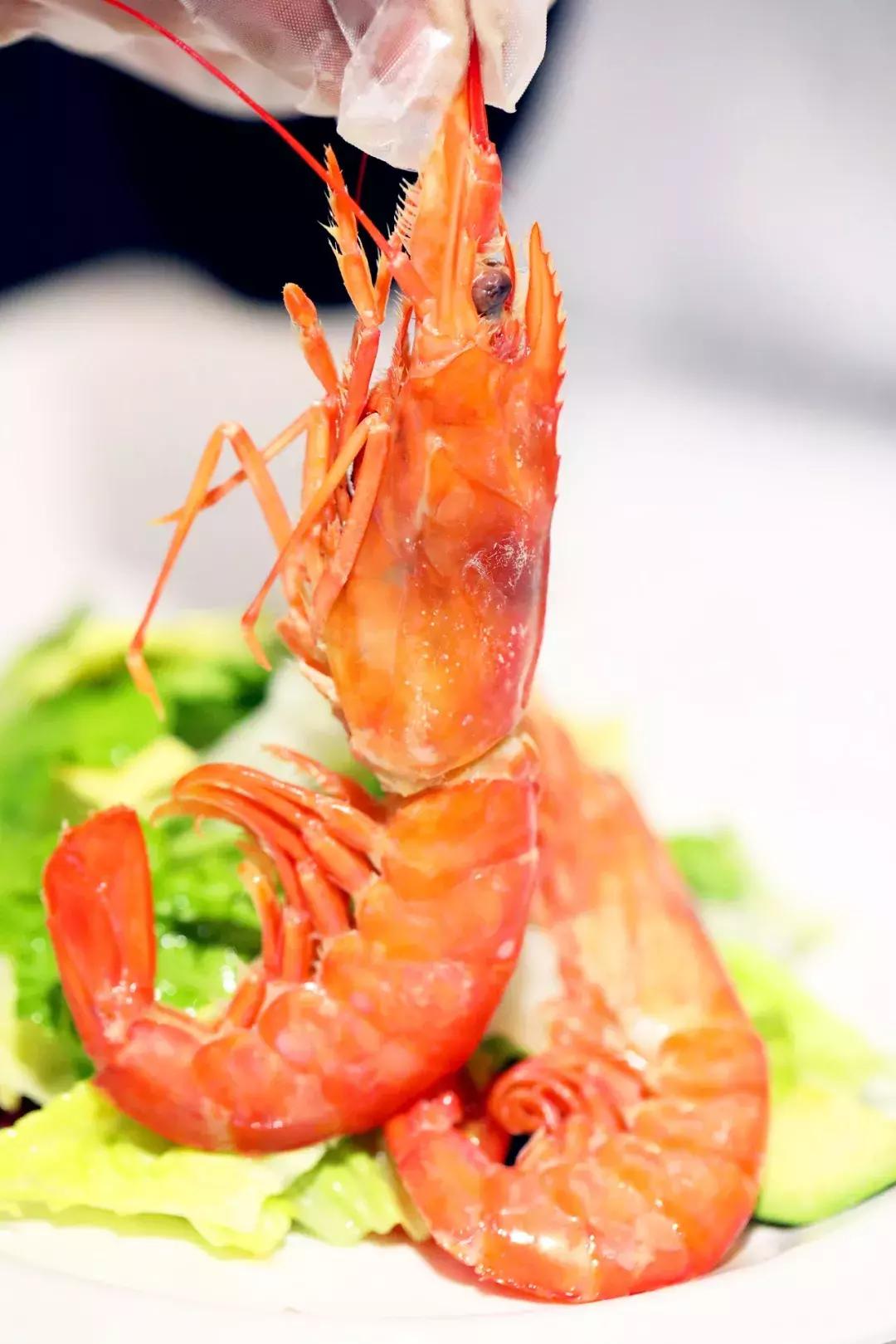 宇宙最红“地球港”空降北京!8国牛肉,逛吃7天不重样!