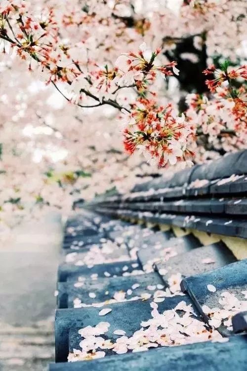 我的内心住着一个乌托邦,只想生活在自己的乌托邦里