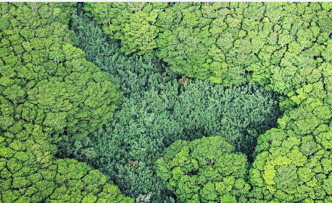 侏罗纪世界公园取景地,侏罗纪公园拍摄地点在哪里