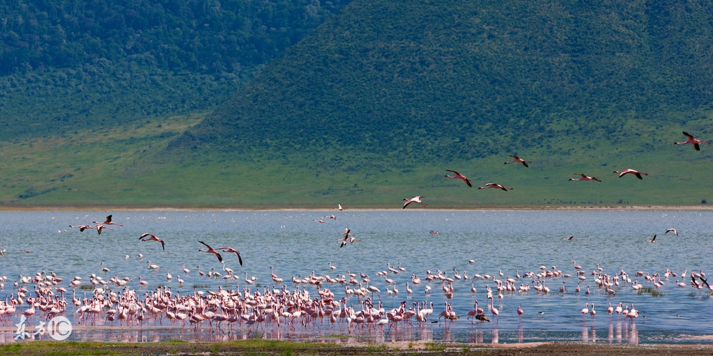 看图旅游,看图旅行