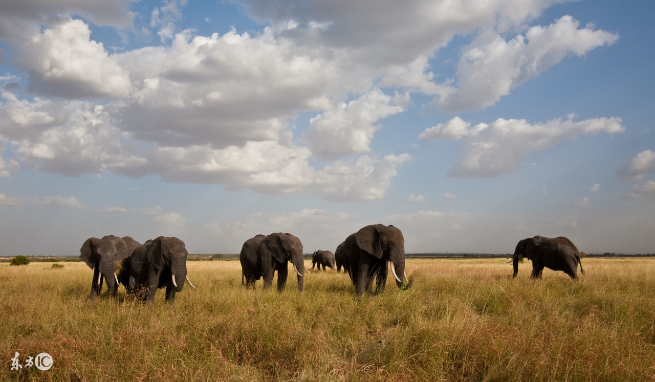 看图旅游,看图旅行