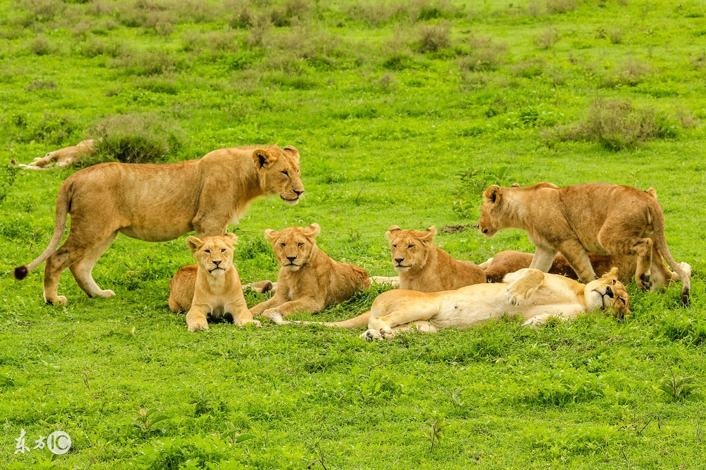 看图旅游,看图旅行
