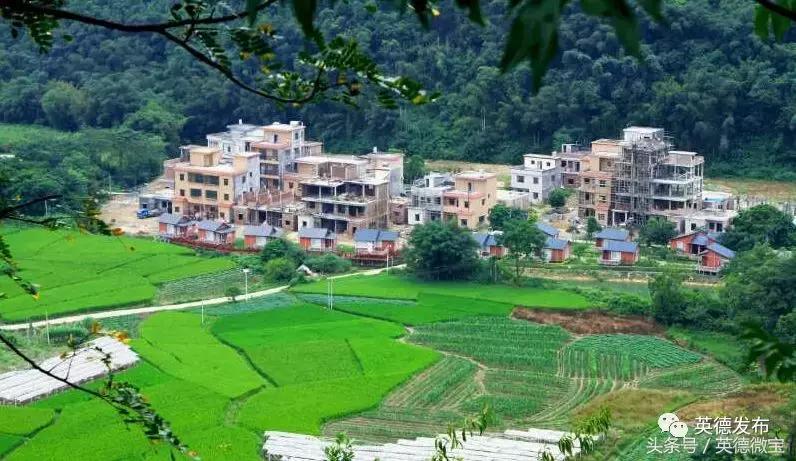 英红镇水头谢屋村,英德英红谢屋村