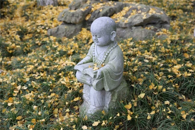 七情六欲的七情和六欲分别指什么,三姑六婆有哪六婆