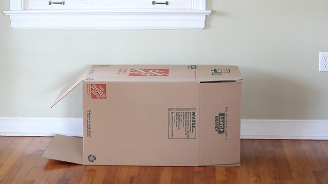 自制猫咪纸箱简单教程,纸箱自制一只迷你小宠物