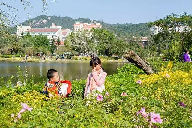 厦门旅行攻略亲子游,厦门自由行亲子游最强攻略