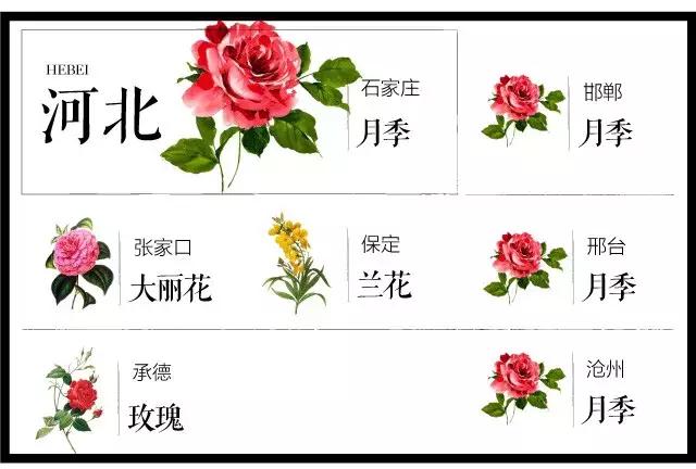 盘点史上最全中国各城市市花,中国各大城市的市花分别是什么