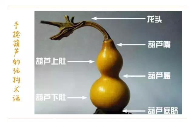 手捻小葫芦技巧,手捻小葫芦效果