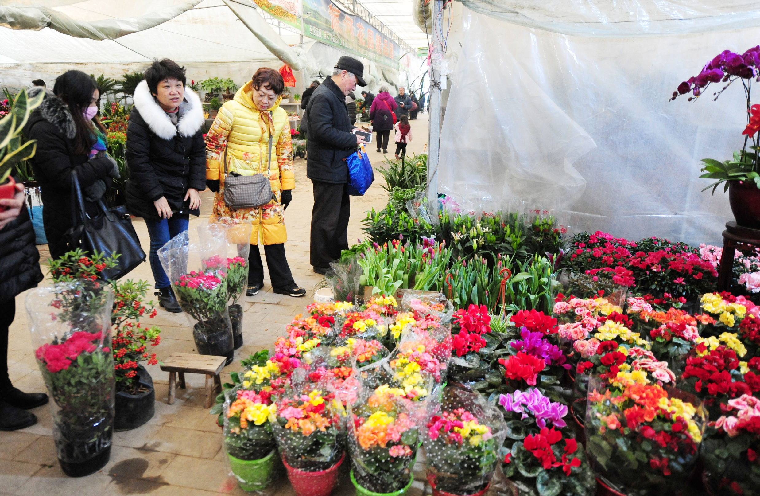 第七届肥西旅游年货节暨紫蓬山腊八祈福活动举办