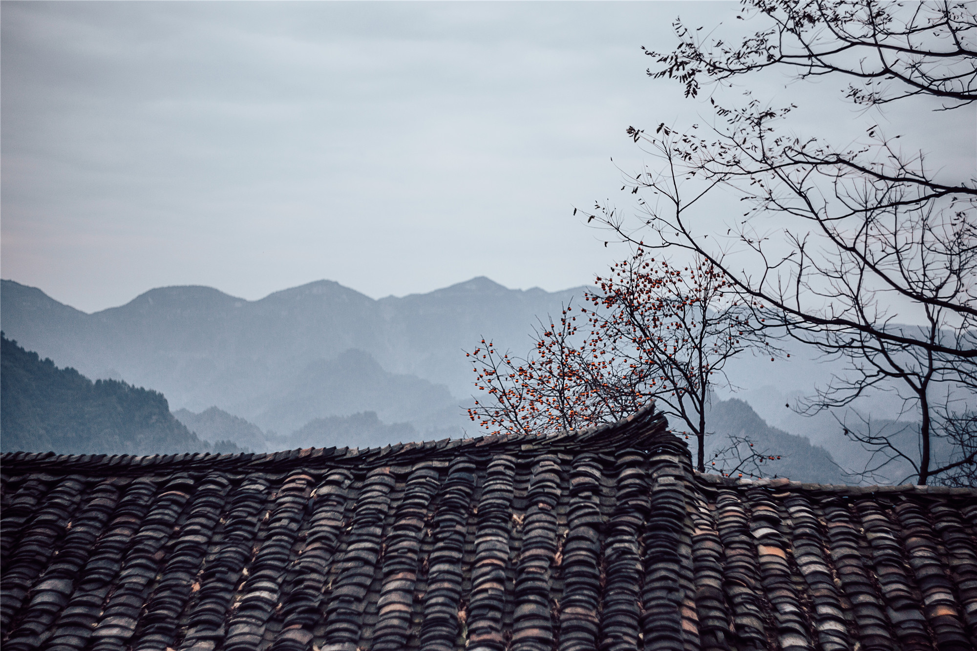 湘西龙脉风水传说,湘西龙山龙脉风水宝地