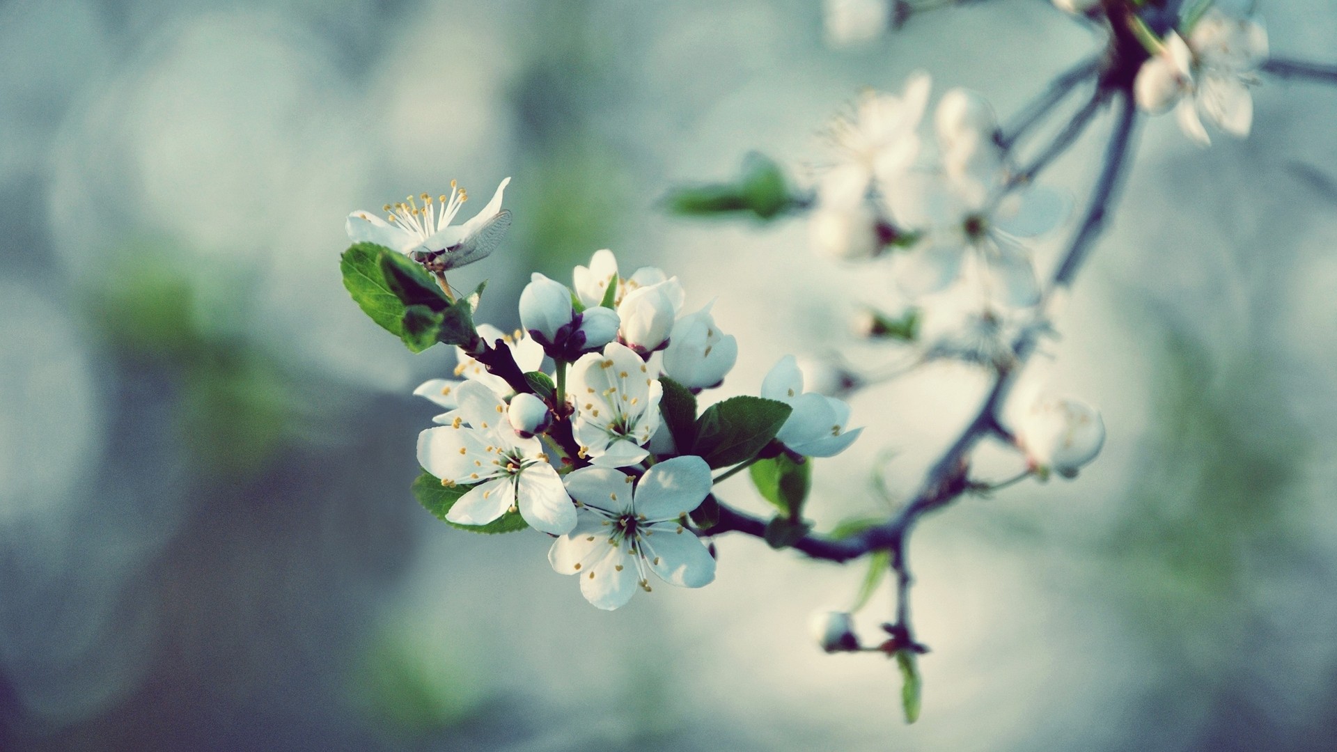 爱情美文柴米油盐,婚姻柴米油盐的美文