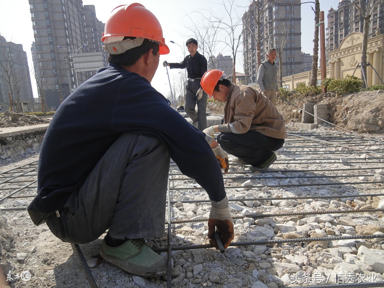 外出打工每天260元,农村人每天打工赚钱