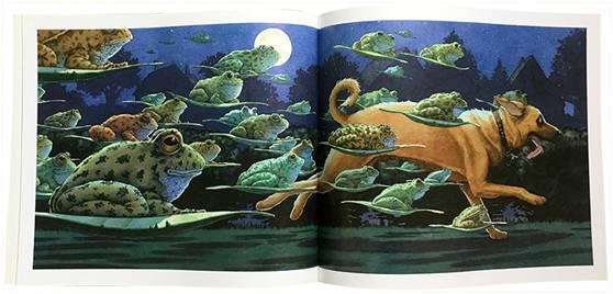 关于耳朵的英文绘本,奇妙的耳朵英语绘本