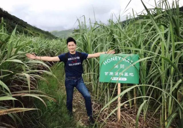 他用一片互联网卫生巾，捕获千万少女心