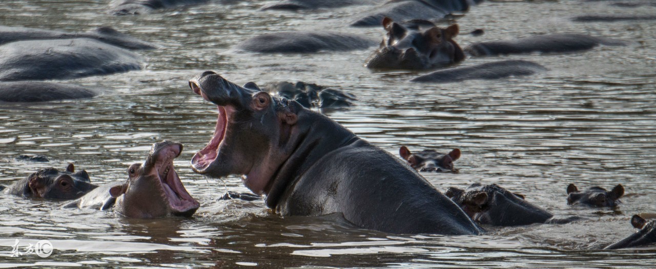 看图旅游,看图旅行