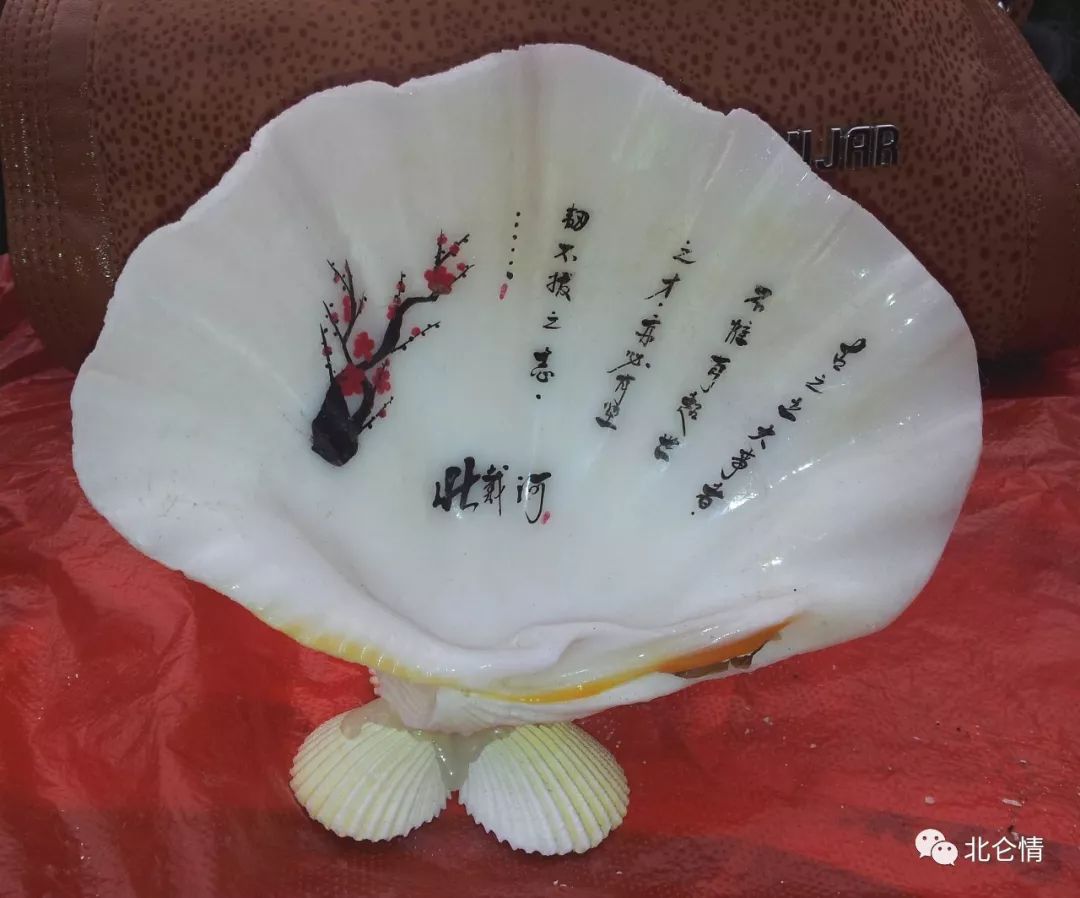 美妙绝伦、奢侈华丽的贝壳工艺品