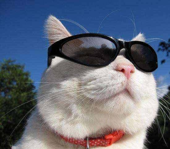 美媒公布全球最具影响力国家排名,人工智能前十家公司排名