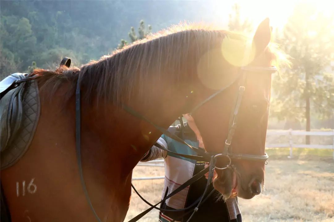 福利丨粤北越北,风景更美,邀你到丹霞灵溪过个红红火火东北年