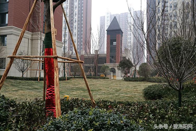 和昌中央城邦小户型,和昌中央城邦房价最新