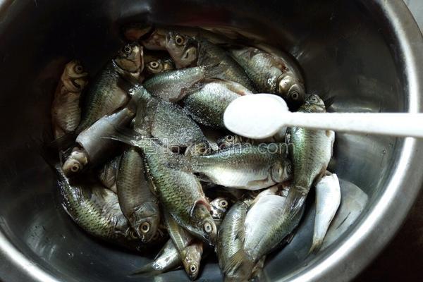 适合所有人吃刺少营养好的鱼,细鳞鱼怎么做鱼刺少