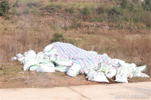 苦守荒山数十载,宝剑锋从磨砺出!