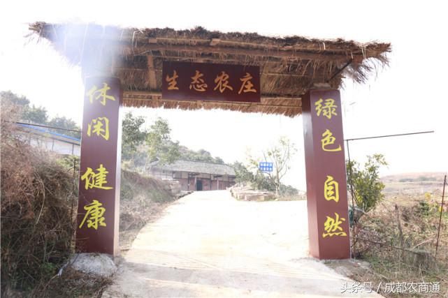 苦守荒山数十载,宝剑锋从磨砺出!