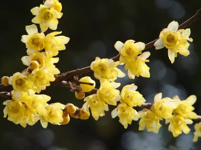 郑州冬天带小孩适合去哪里玩,郑州冬天到内蒙自驾游最佳路线