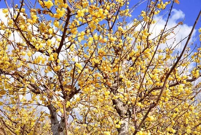 郑州冬天带小孩适合去哪里玩,郑州冬天到内蒙自驾游最佳路线