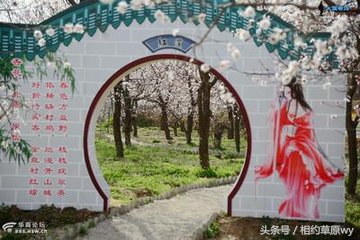 咸阳礼泉烟霞视频,礼泉烟霞洞风景视频