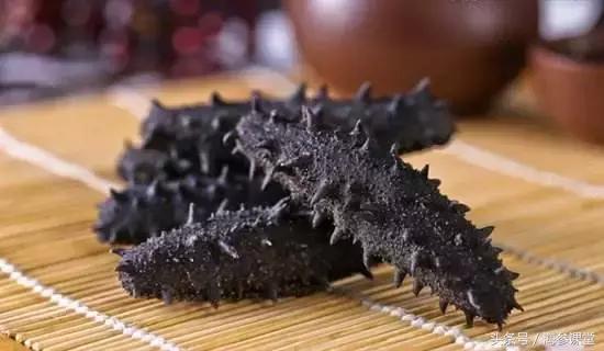小海参和大海参营养有什么区别,淡干海参和鲜食海参哪个更有营养