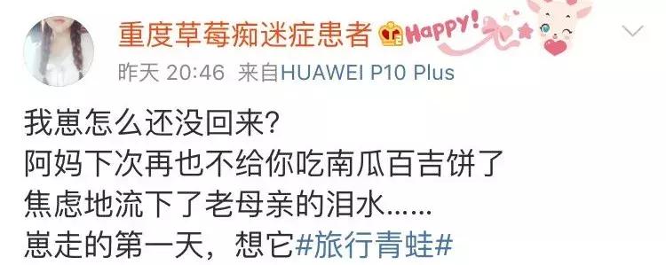 旅行青蛙不同人的养蛙方式,旅行青蛙养蛙指南