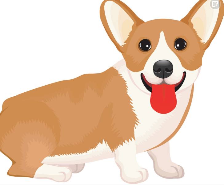 属狗容易和哪个属相一见钟情,属狗人和哪个属相最契合