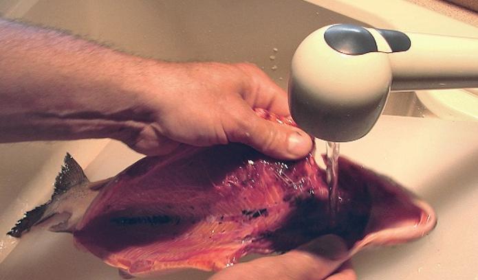 绿豆炖羊肉去除膻味,煮羊肉汤放点绿豆可以吗