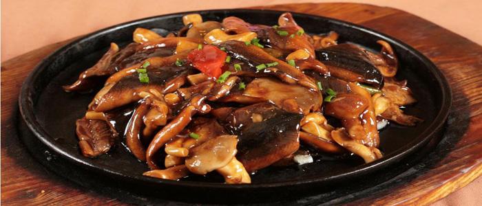 宁波gdp破万亿,2022下一个万亿城市