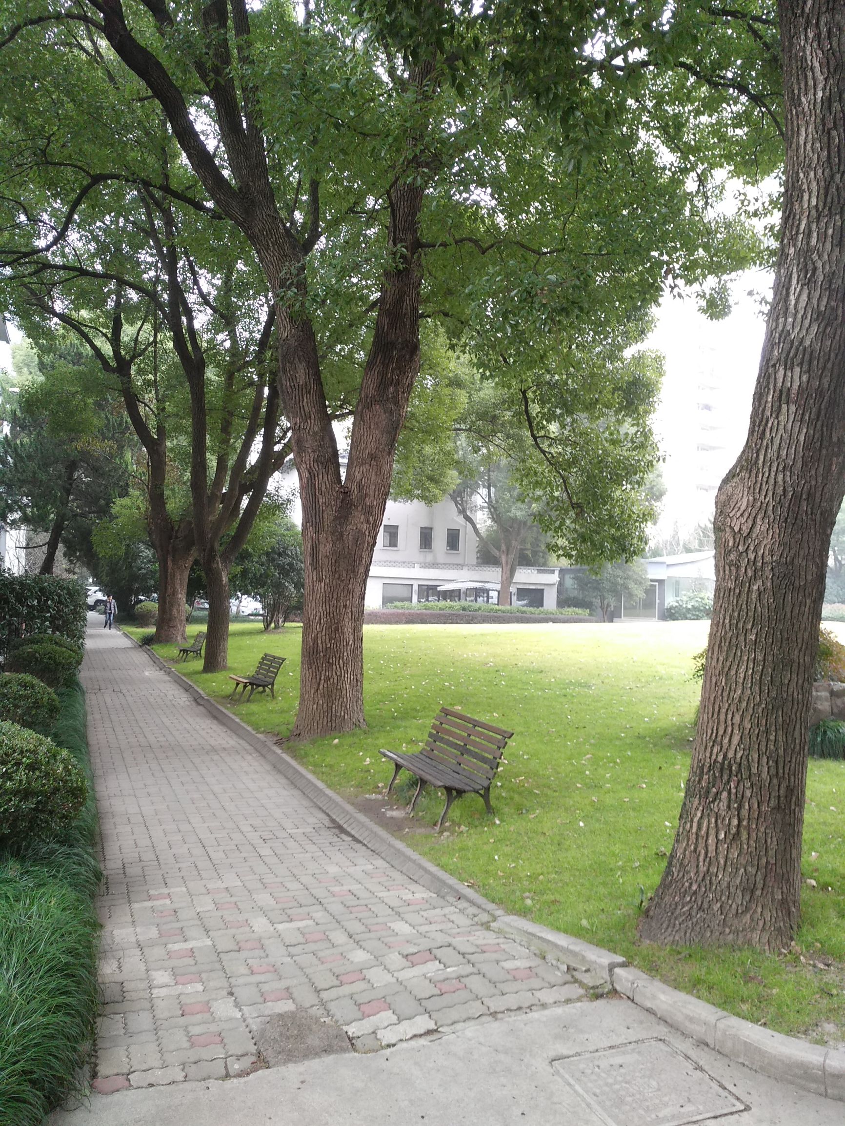 美兆健康体检中心检查靠谱么,美兆体检中心和慈铭是一家吗