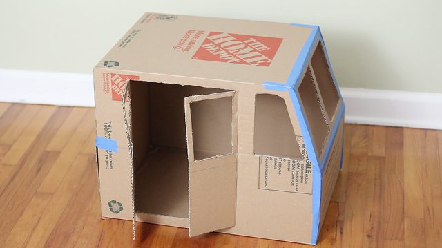 自制猫咪纸箱简单教程,纸箱自制一只迷你小宠物