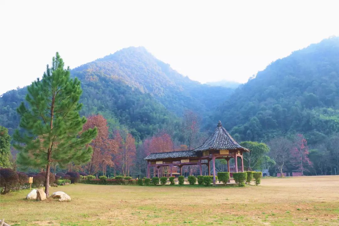 福利丨粤北越北,风景更美,邀你到丹霞灵溪过个红红火火东北年